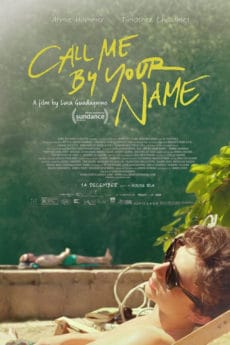 Call Me by Your Name (2017) คอลมีบายยัวร์เนม (Soundtrack ซับไทย)