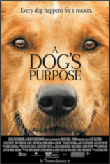 A Dog's Purpose หมา เป้าหมาย และเด็กชายของผม (Soundtrack ซับไทย)