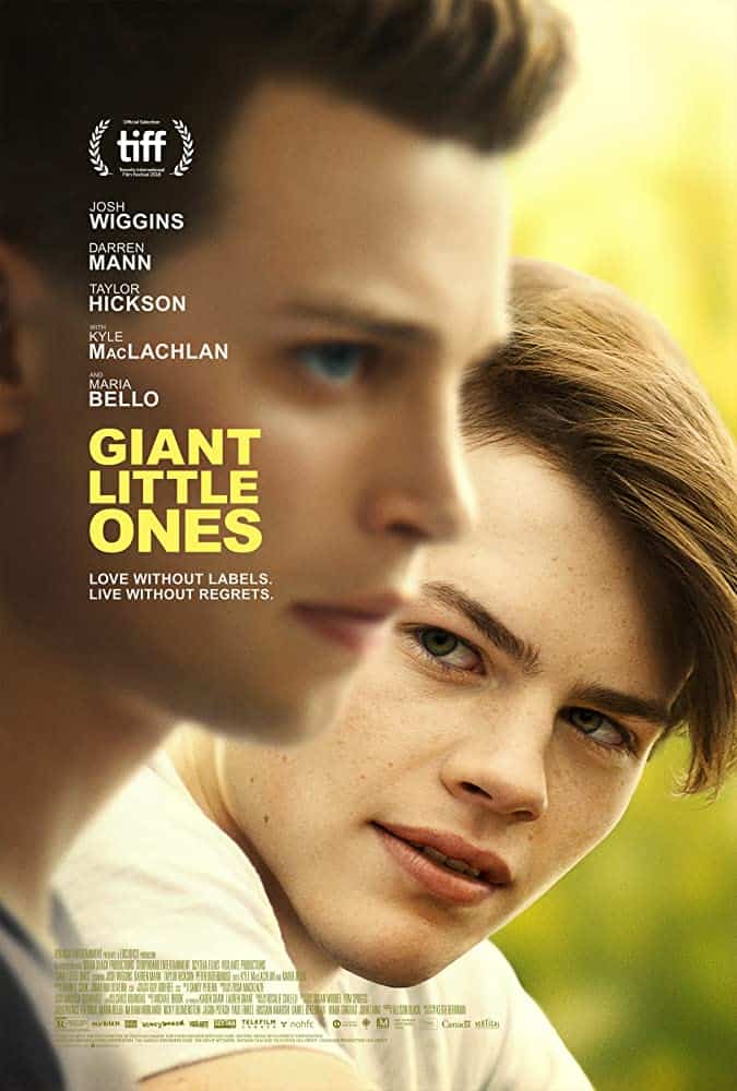 Giant Little Ones (2018) รักไม่ติดฉลาก