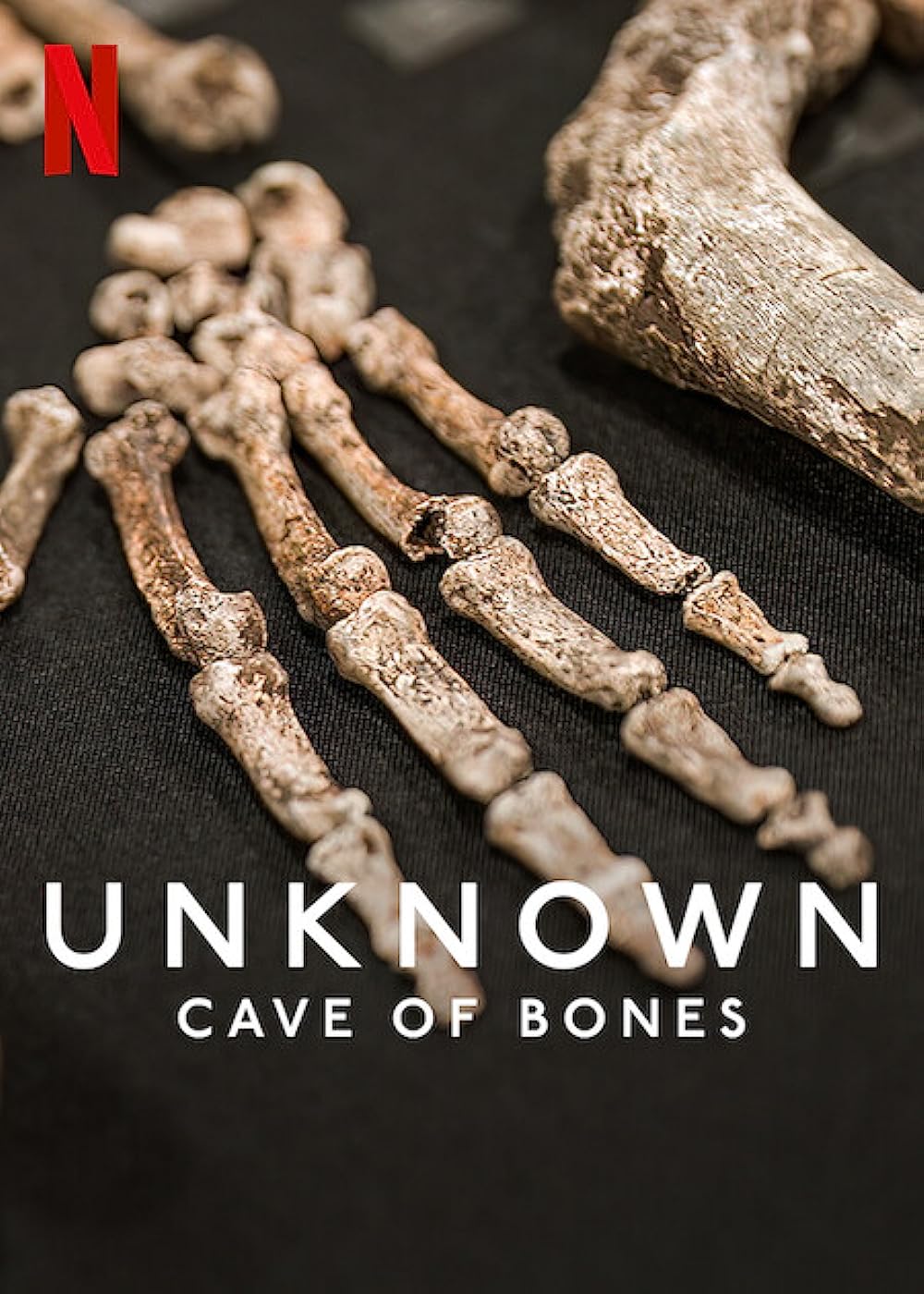 Unknown: Cave of Bones (2023) เปิดโลกลับ: ถ้ำแห่งกองกระดูก