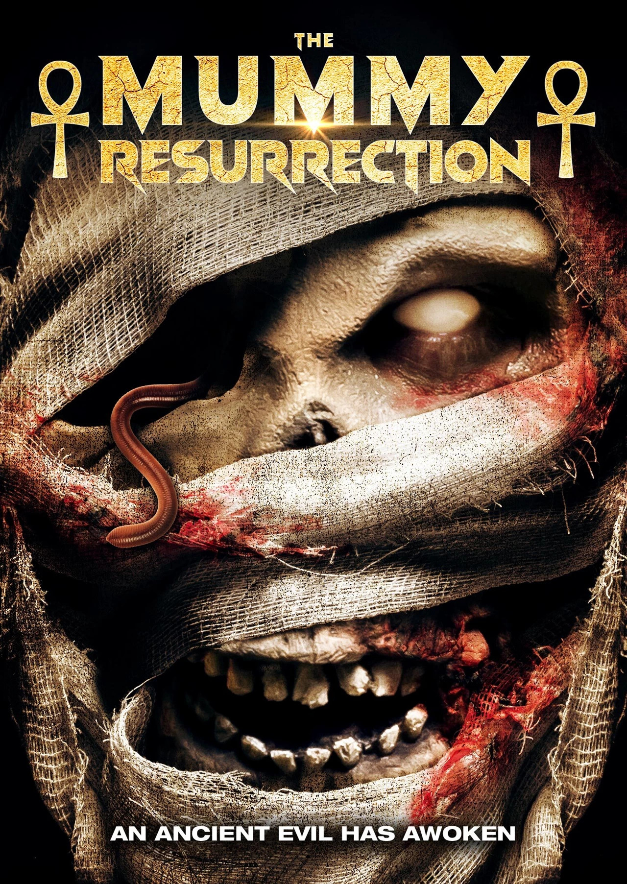 Post image: The Mummy: Resurrection (2022)